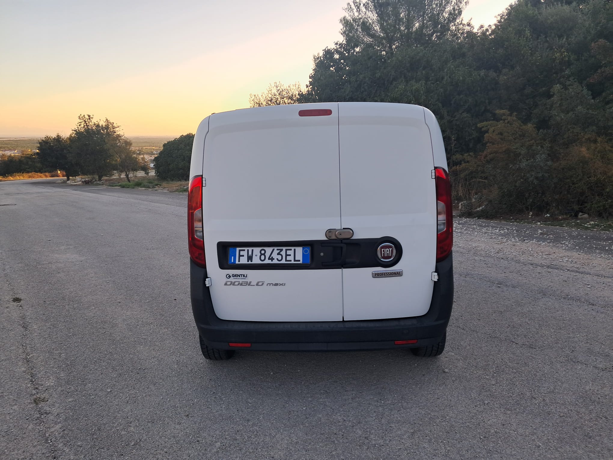 Fiat Doblò Maxi 1.6 MTJ Lamierato (Iva esposta)