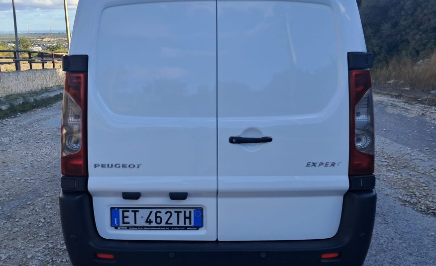 Peugeot Expert Coibentato con frigo (Iva esposta)