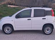 Fiat Panda Natural Power Van 2 posti Benzina/Metano