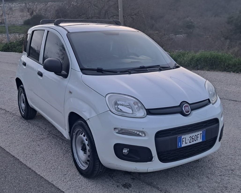 Fiat Panda Natural Power Van 2 posti Benzina/Metano