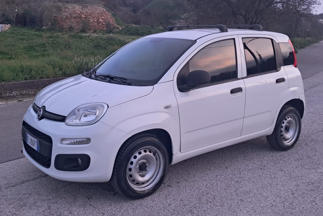 Fiat Panda Natural Power Van 2 posti Benzina/Metano