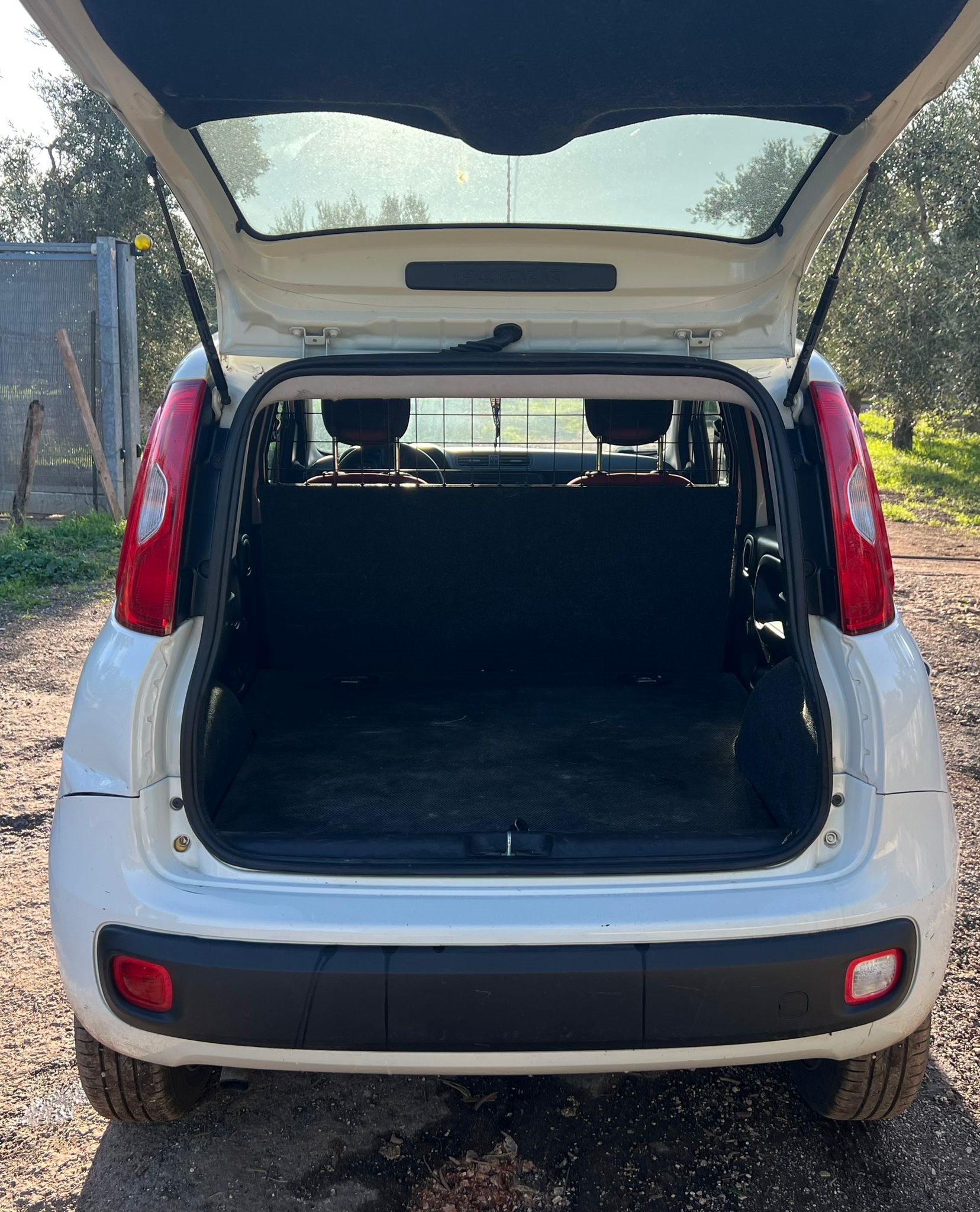 Fiat Panda Natural Power Van 2 posti Benzina/Metano