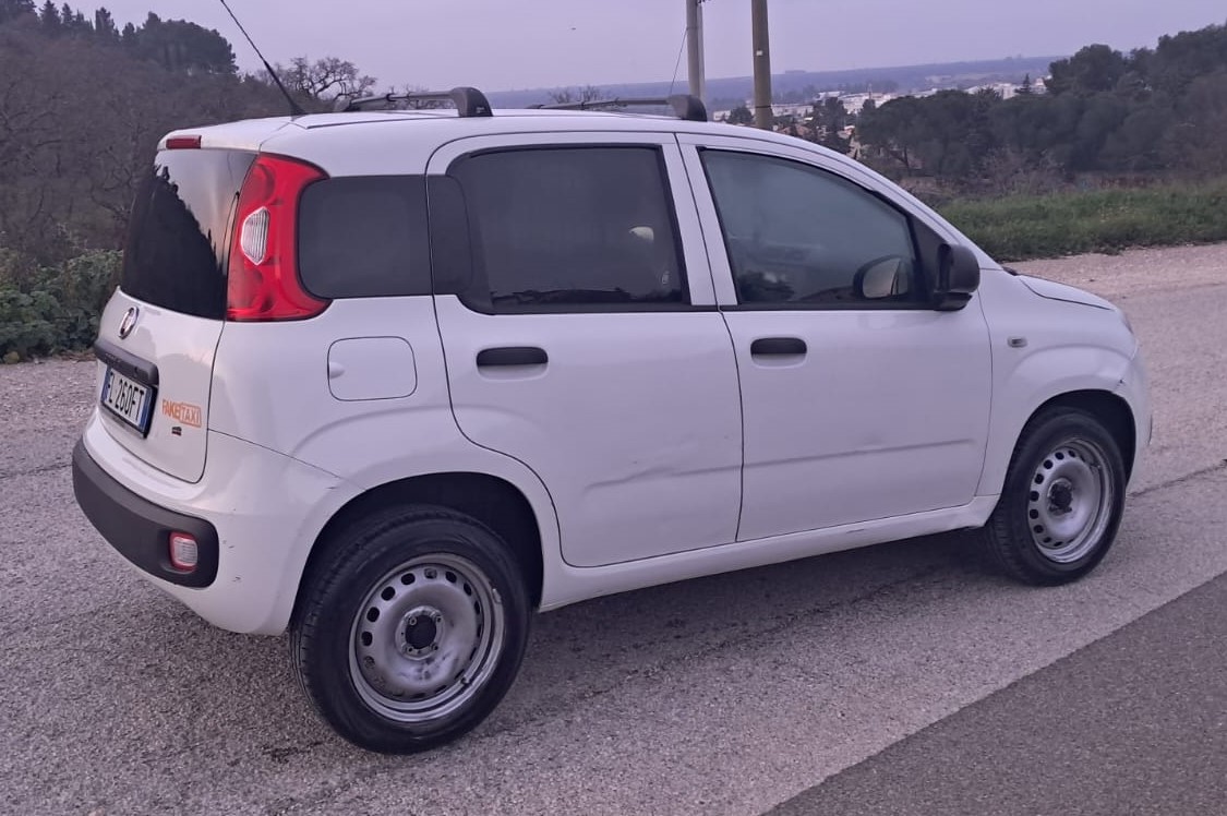 Fiat Panda Natural Power Van 2 posti Benzina/Metano