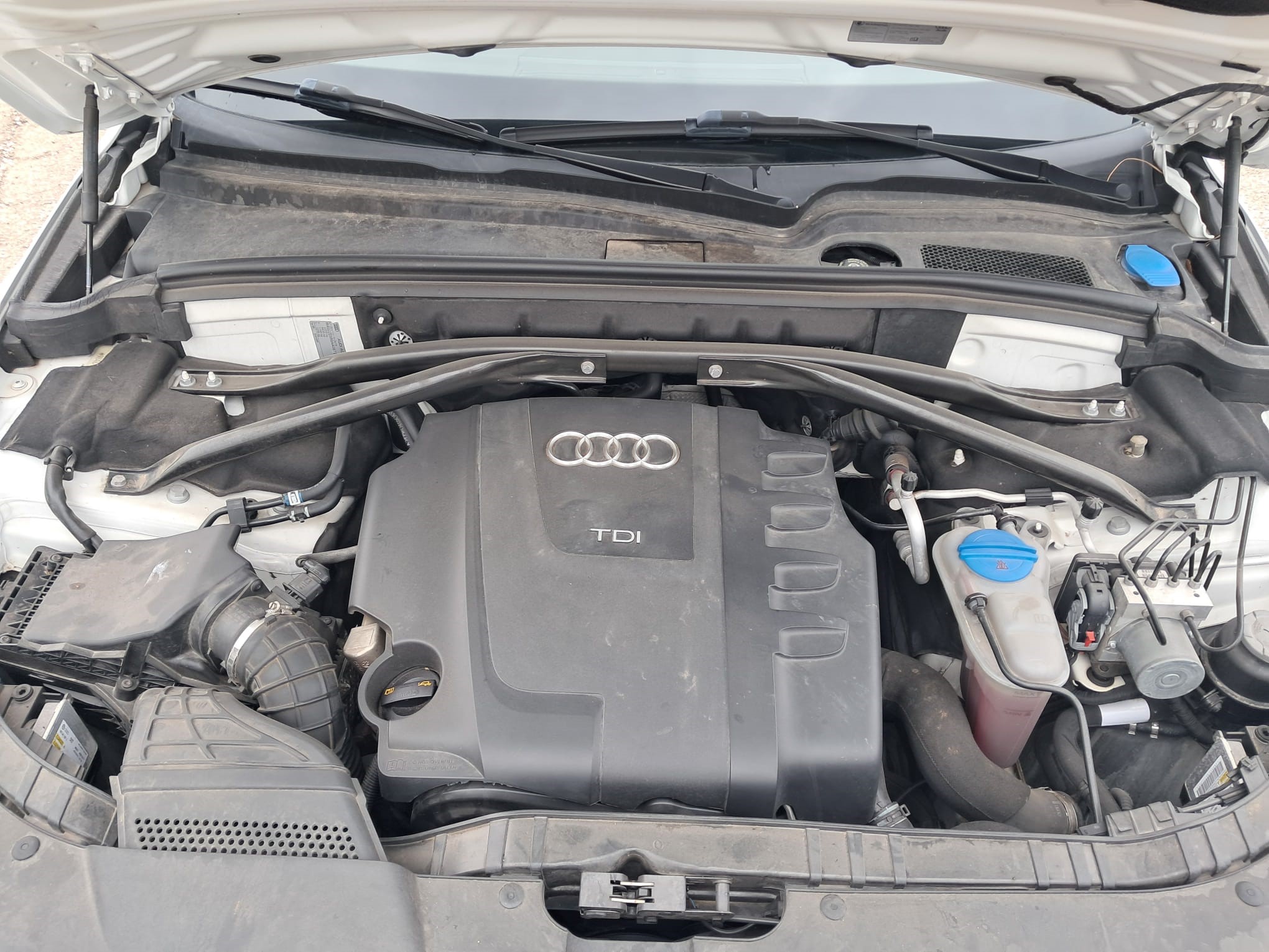 Audi Q5 2.0 tdi quattro 170cv