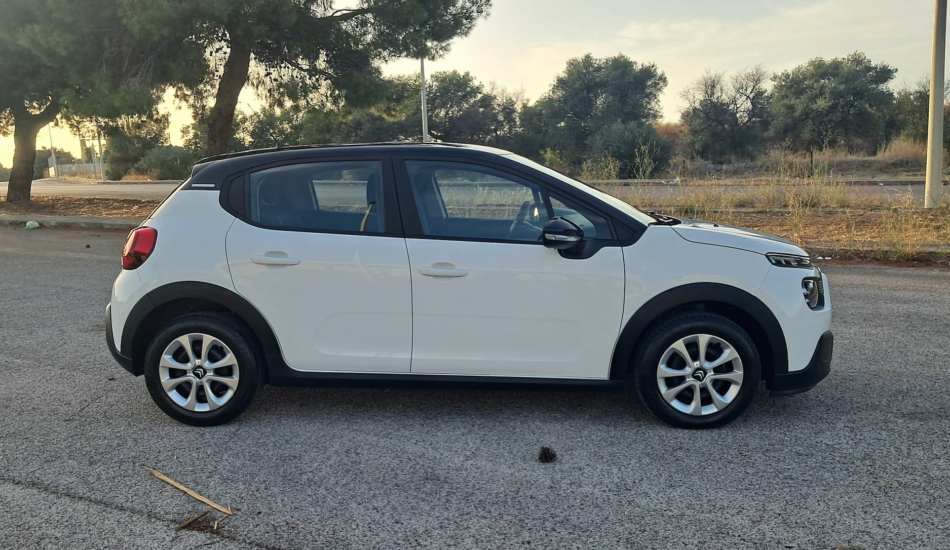 Citroen C3 BlueHDi 100 S&S Shine Pack (IVA ESPOSTA)