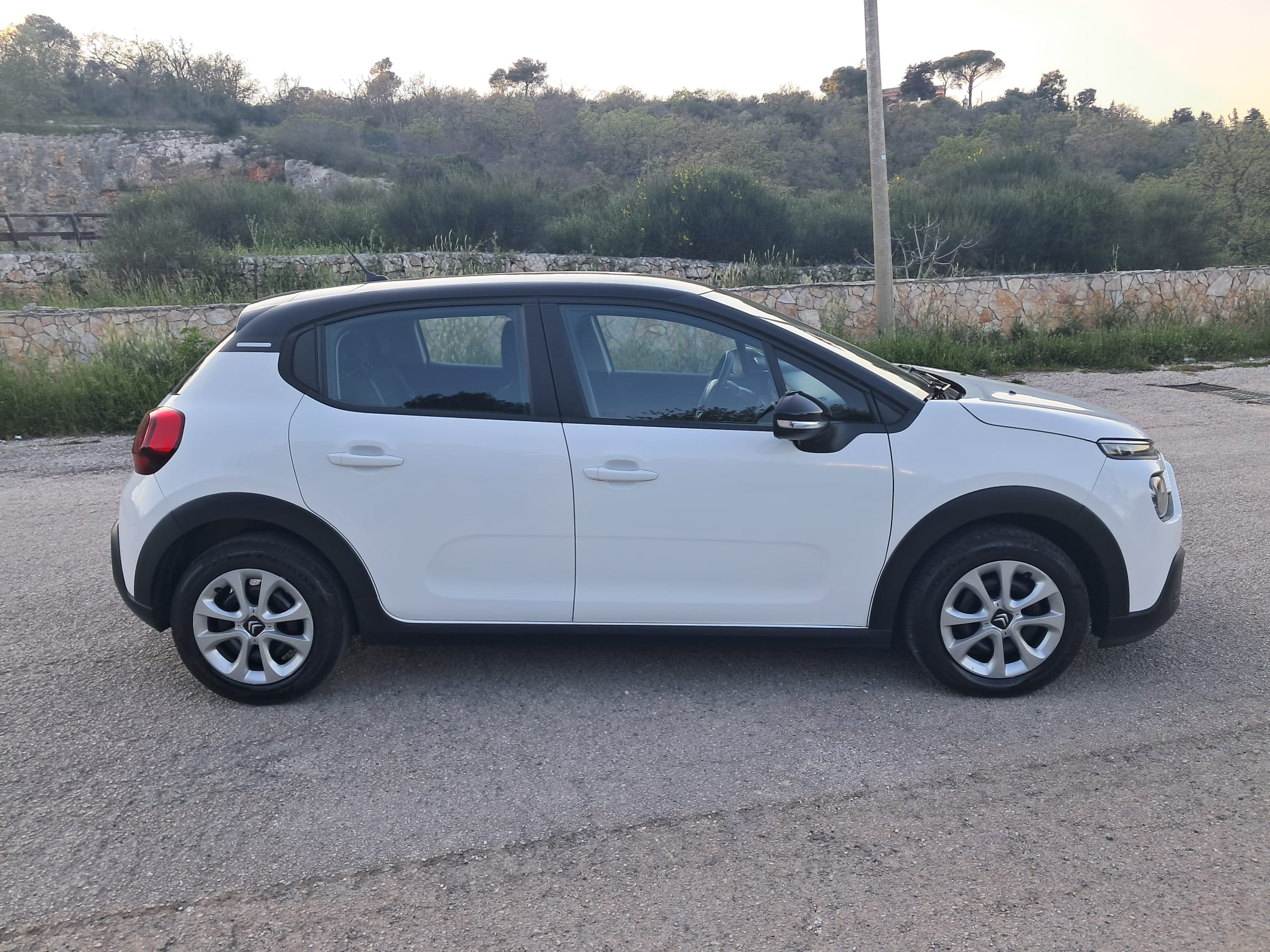 Citroen C3 BlueHDi 100 S&S Shine Pack (IVA ESPOSTA)