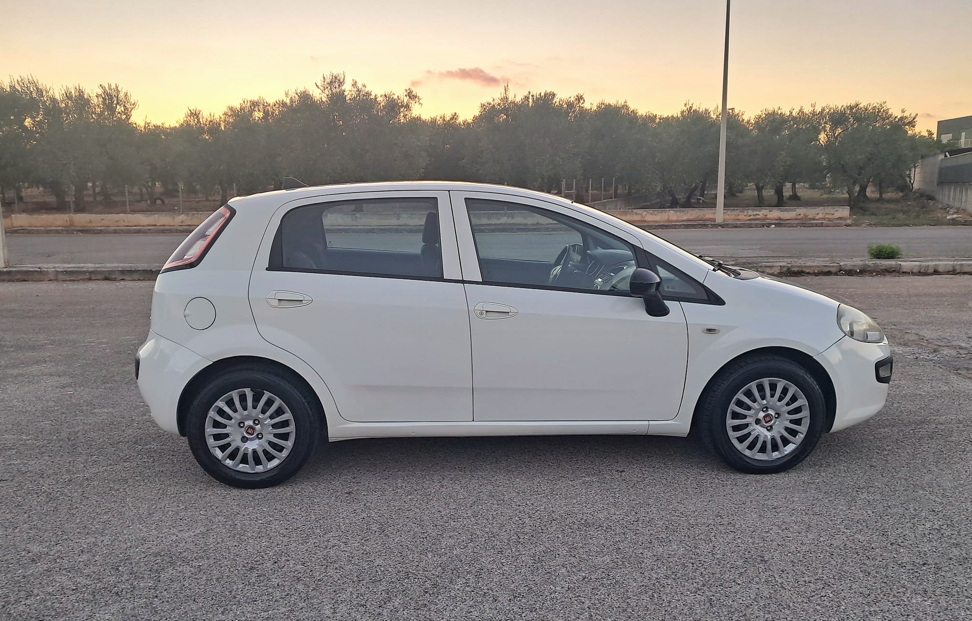 Fiat Punto Evo 1.3 Mjt 75 CV DPF 5 porte S&S Dynamic