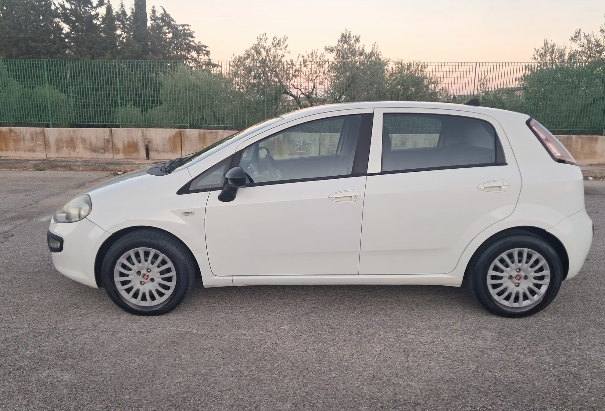 Fiat Punto Evo 1.3 Mjt 75 CV DPF 5 porte S&S Dynamic