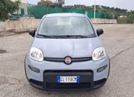 Fiat Panda 1.0 FireFly S&S Hybrid (Iva Esposta)