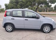Fiat Panda 1.0 FireFly S&S Hybrid (Iva Esposta)