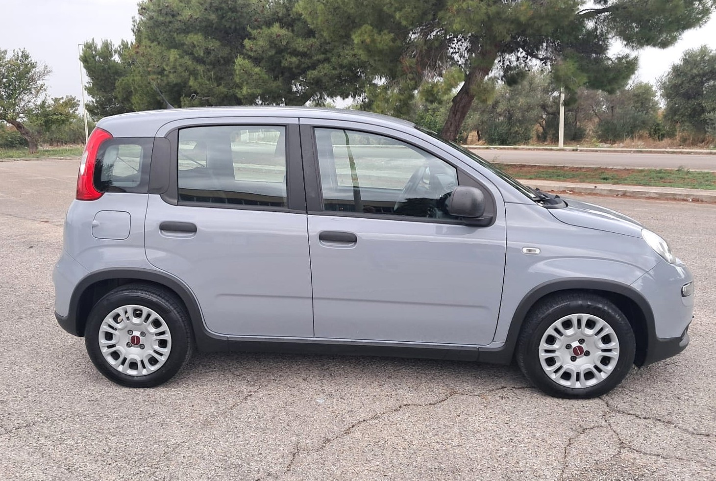 Fiat Panda 1.0 FireFly S&S Hybrid (Iva Esposta)