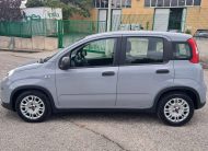 Fiat Panda 1.0 FireFly S&S Hybrid (Iva Esposta)