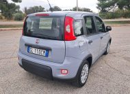 Fiat Panda 1.0 FireFly S&S Hybrid (Iva Esposta)