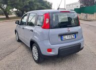 Fiat Panda 1.0 FireFly S&S Hybrid (Iva Esposta)